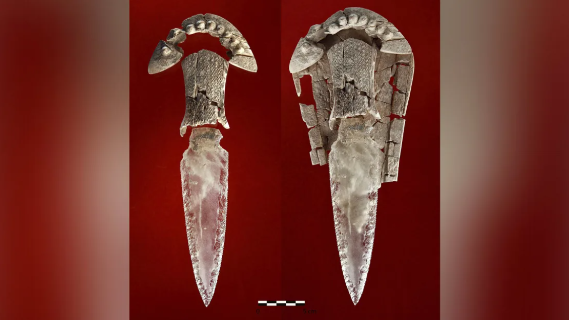 6 исторических тайн, которые ученые наконец-то раскрыли в 2023 году, а одну так и не смогли